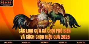 Các Loại Cựa Gà Chọi Phổ Biến Và Cách Chọn Hiệu Quả 2025