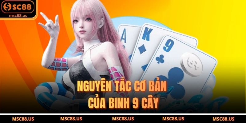 Nguyên tắc cơ bản của binh 9 cây