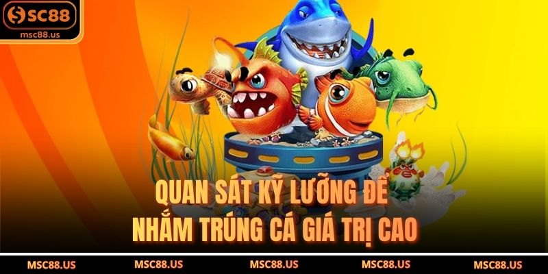 Quan sát kỹ lưỡng để nhắm trúng cá giá trị cao